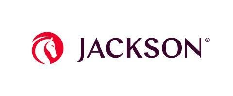 Jackson Financial Results